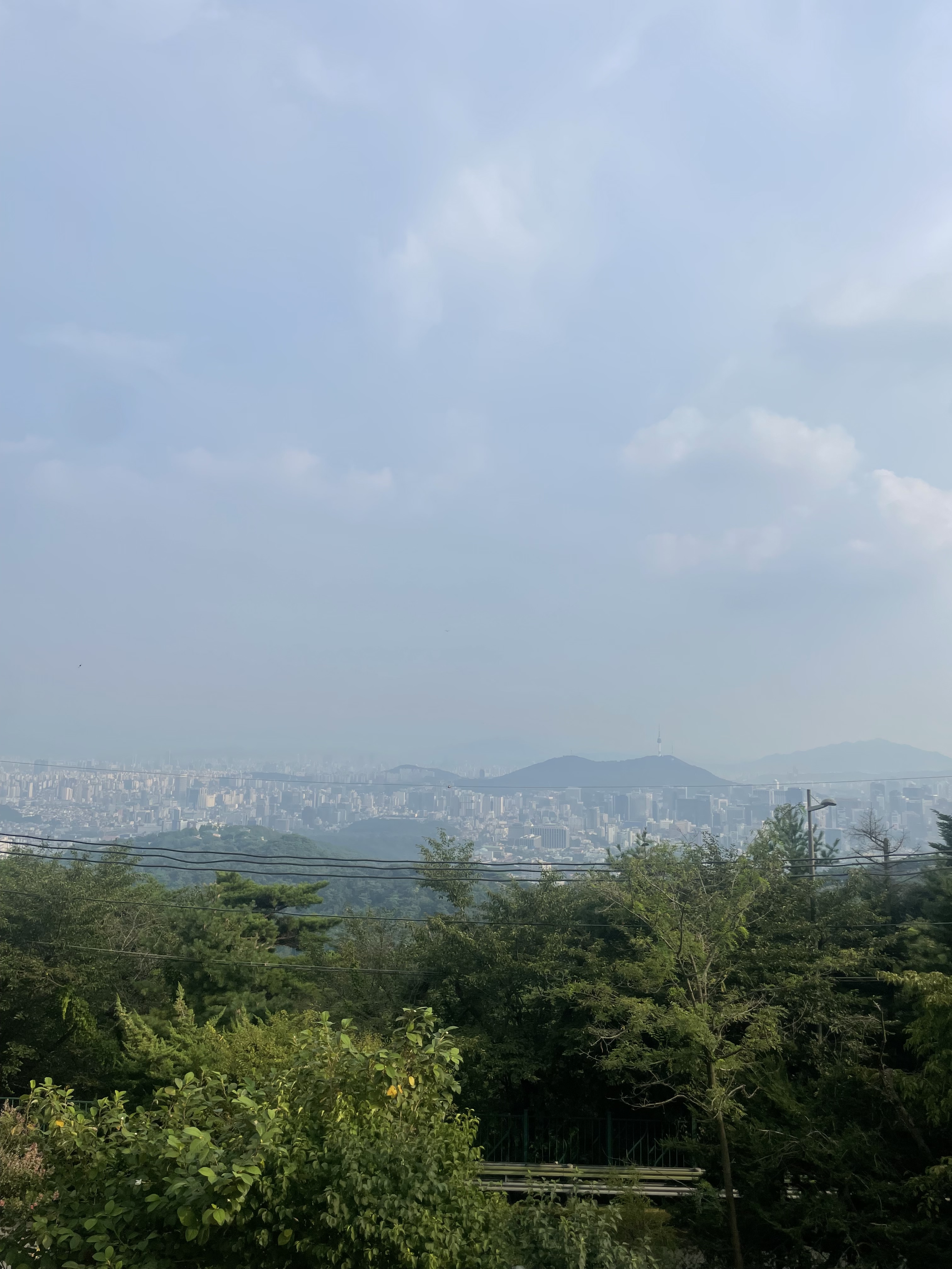 IMG_7362.jpeg